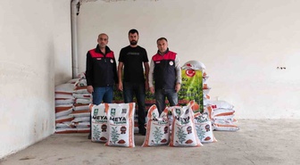 Elazığ Palu'da üreticilere 10 ton kırmızı mercimek tohumu dağıtıldı