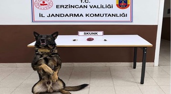 Erzincan'da jandarma operasyonlarında 13 gram skunk ve 35 gram hammadde ele geçirildi