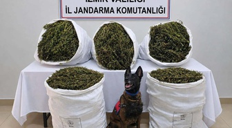 İzmir Tire'de arazide 54 kilo 800 gram kubar esrar bulundu, şüpheliler tutuklandı