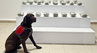 Van Başkale'de 10 kilo 111 gram esrar ele geçirildi, 3 şüpheli gözaltına alındı