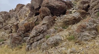 Van Özalp'te yıldırımın isabet ettiği 14 yaşındaki çocuk yaşamını yitirdi