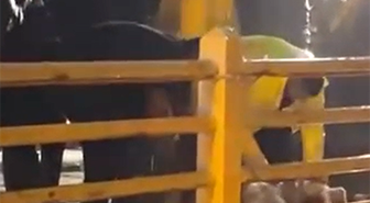 Yalova Armutlu'da sağanağın dinmesi için dere üzerindeki köprüde kurban kesildi