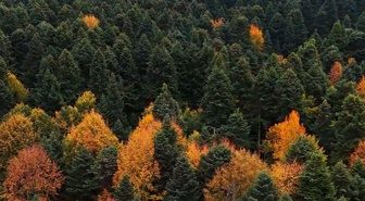 Bolu'da Gölcük Tabiat Parkı çevresinde sonbahar renkleri dronla görüntülendi