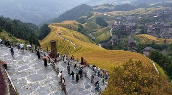 Çin'in Guilin kentindeki Longji pirinç terasları sonbaharda turist akınına uğradı