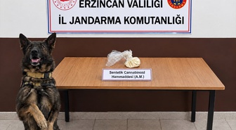 Erzincan'da 35 gram sentetik kannabinoid ele geçirildi, 2 şüpheli gözaltına alındı
