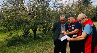 Kozan'da dolu yağışının vurduğu bahçeler için üreticilere başvuru çağrısı yapıldı