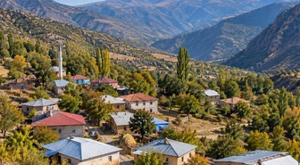 Resmi Gazete'de yayımlandı! Bingöl'deki Hasbağlar köyü, Kiğı ilçesine bağlandı