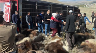 Kışlak yolculuğu faciayla bitti! Tüm serveti yok oldu