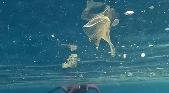 Antalya Kaş'ta Halk Plajı'nda yüzenlerin çevresindeki plastik atıklar dikkat çekti