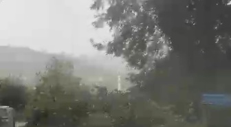 Bartın Kurucaşile'de kuvvetli rüzgar çok sayıda ağacı devirdi ve yolu kapattı