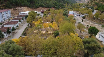 Manisa Demirci'de meşe ve kavak ağaçlarındaki sonbahar renkleri dronla görüntülendi