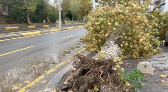 Sakarya'nın Karasu ilçesinde Darıçayırı Mahallesi'ni bu yıl 4'üncü kez su bastı