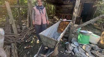 İbradı'da 77 yaşındaki Fatma Yamansoy pekmez sezonunu en son tamamlıyor