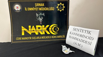 Şırnak'ta 12-18 Ekim operasyonlarında 29 şüpheli adli işleme tabi tutuldu