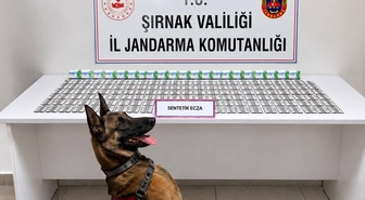 Şırnak'ta jandarma operasyonunda aranan 49 şahıs yakalandı, 12 kişi tutuklandı