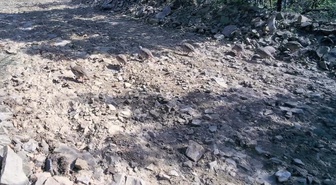 Tekirdağ'da Ganos Dağları'ndaki keklik sürüsü fotokapanla görüntülendi
