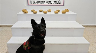 Van Başkale'de jandarma operasyonunda 11 kilo 958 gram esrar ele geçirildi