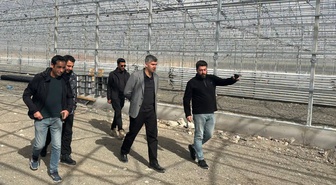 Diyadin Kaymakamı Korkusuz, jeotermal sera OSB'de çalışmaları yerinde inceledi
