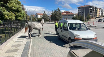 Karaman'da bağlı yerden kaçan at, koşarak gelip otomobile arkadan çarptı! O anlar kamerada