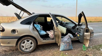 Şanlıurfa'da TİGEM bahçesinden 75 kilo fıstık çaldıkları iddiasıyla 4 kişi yakalandı