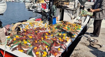 Tekirdağ'da balıkçılar Marmara'dan yaklaşık 1,5 ton kefalle limana döndü
