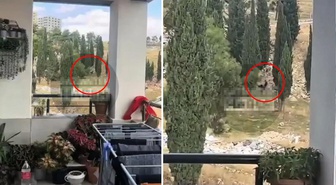 Bir ilimiz bu olayı konuşuyor! Güpegüngüz cinsel ilişkiye girdiler