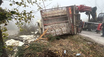 Bolu-Seben yolunda canlı tavuk yüklü kamyon devrildi, 4 kişi yaralandı