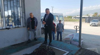 Hatay İl Tarım ve Orman Müdürü Türkmen, zeytinyağı kalitesi için doğru hasadı anlattı