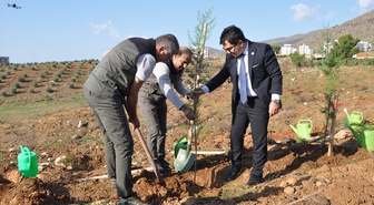 Mersin'de şehit savcı Kiraz'ın adının yaşatıldığı hatıra ormanına 1000 fidan dikildi