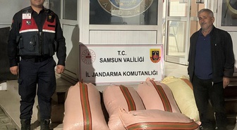 Samsun Çarşamba'da fındıkta dolandırıcılık iddiasıyla 2 şüpheli gözaltına alındı
