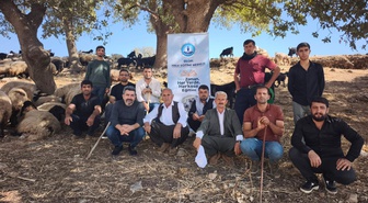 Silopi'de çobanlar Cudi Dağı eteklerinde uygulamalı sürü yönetimi eğitimi alıyor