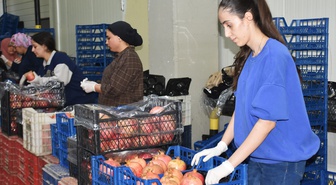 BAİB, 9,5 ayda 702 milyon dolarlık yaş meyve sebze ihracatı yaptı