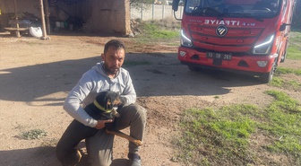 Çorum Sungurlu'da 10 metrelik su kuyusuna düşen köpek itfaiye ekiplerince kurtarıldı