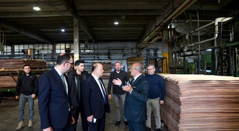 Kastamonu Valisi Dallı, Taşköprü'deki kontraplak fabrikasında incelemede bulundu