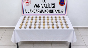 Van'da 55 kapsülde 502 gram uyuşturucu taşıyan yabancı uyruklu şüpheli tutuklandı