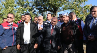 Aydın Valisi Varol, Köşk'te kestane topladı, 25 bin 500 ton üretimi vurguladı