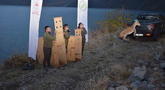 Bitlis'te koruma altındaki yaban hayvanları sağlık kontrolü sonrası doğaya salındı