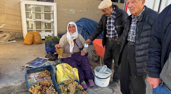Denizli Çivril'de soğuğa dayanıklı Koçak üzümü 75-100 lira aralığında pazara indi