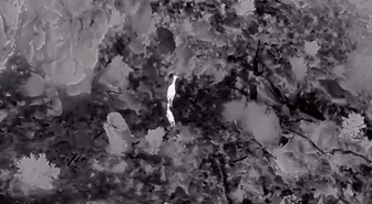 DKMP ekipleri Akdağ'da kızıl geyikleri termal dronla tespit etti