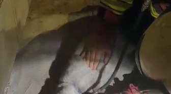 Samsun İlkadım'da çıkan yangında mahsur kalan kediye oksijen ve kalp masajı yapıldı