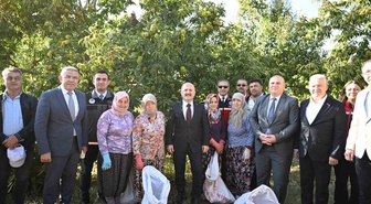 Aydın kestanesinde hasat başladı, kent 25 bin 362 tonla Türkiye ikincisi