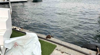 Fatih Cibali Sahili'nde deniz polisince bulunan erkek cesedi morga kaldırıldı