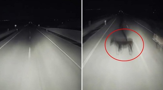 Görüntü Türkiye'den! Gecenin karanlığında dehşete düşüren olay
