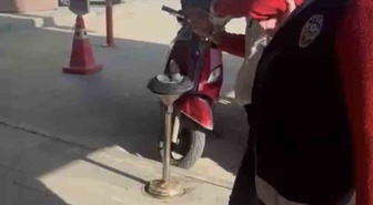 Adıyaman'da çöpte yemek yiyen kediye taşla vuran kadın yakalandı! Adliyeye sevk edildi