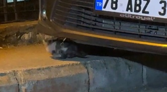 Karabük'te motor bölümüne sıkışan yavru kedi itfaiye ekiplerince kurtarıldı