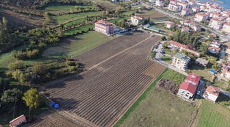 Samsun Yakakent'te iki kadın girişimci 25 dönüm araziye 7 bin kök aronya dikti