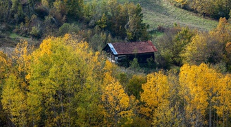 Kastamonu'da sonbahar renkleri Azdavay ve Pınarbaşı'ndaki ormanları sardı