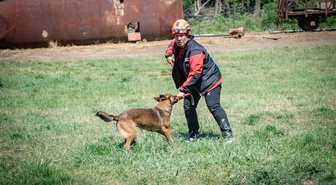 NAK Muğla'nın arama kurtarma köpekleri Afyonkarahisar'da yeterlilik sınavlarını geçti