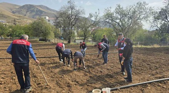 Tunceli'de 70 yaşındaki üreticiye Tarım İl Müdürlüğü sarımsak ekiminde destek oldu