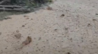 Malatya Hekimhan'da sağanak yağış, Yeşilpınar Mahallesi'nde taşkına yol açtı